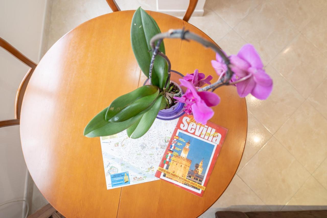 Larra Nervion Appartement *